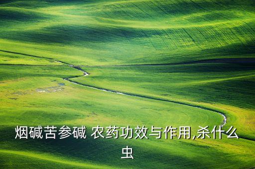 煙堿苦參堿 農藥功效與作用,殺什么蟲
