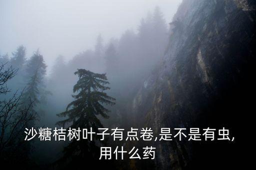 沙糖桔樹葉子有點卷,是不是有蟲,用什么藥