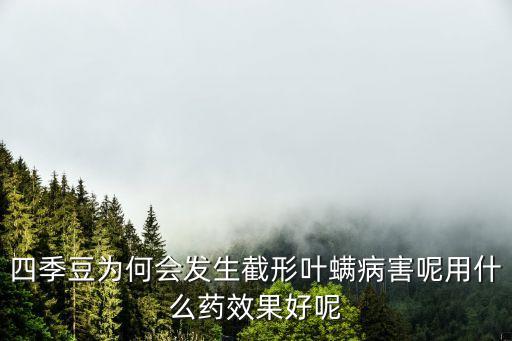 茶黃螨什么農藥最好,防治茶黃螨的農藥有哪些