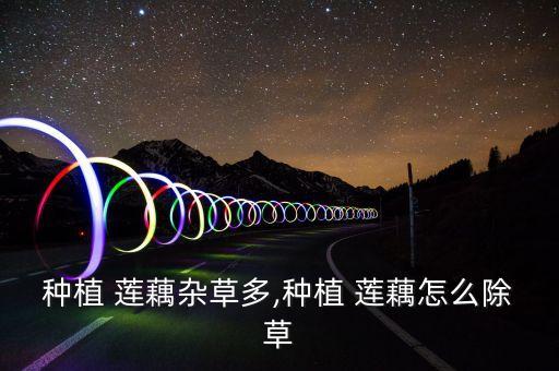 種植 蓮藕雜草多,種植 蓮藕怎么除草