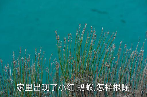 什么農藥殺死紅螞蟻最快,地里紅螞蟻用什么農藥