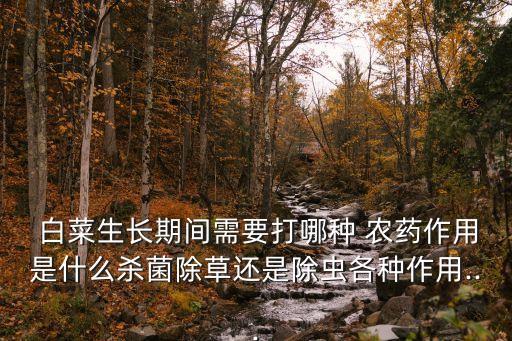  白菜生長期間需要打哪種 農(nóng)藥作用是什么殺菌除草還是除蟲各種作用...