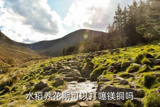 養花選什么牌子農藥,養花用什么農藥好