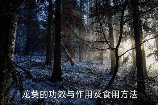  龍葵的功效與作用及食用方法