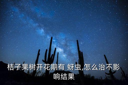 柑橘蚜蟲用什么藥,柑橘春季蚜蟲打什么農(nóng)藥