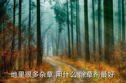 什么農藥可以除草殺蟲藥