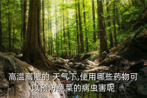 高溫高濕的 天氣下,使用哪些藥物可以預防蔬菜的病蟲害呢