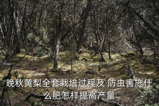 晚秋黃梨全套栽培過程及 防蟲害施什么肥怎樣提高產量
