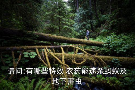 農藥加什么殺病最快,菜蟲用什么農藥殺比較好?