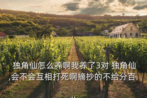  獨角仙怎么養啊我養了3對 獨角仙,會不會互相打死啊摘抄的不給分百...