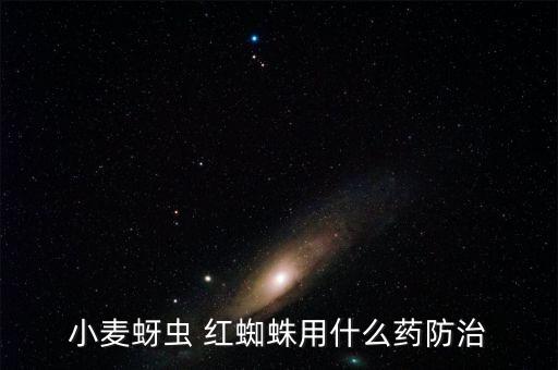 打什么農藥治紅蜘蛛,什么農藥殺紅蜘蛛最有效