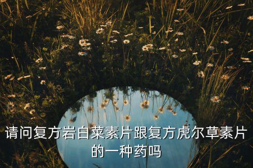 請問復(fù)方巖白菜素片跟復(fù)方虎爾草素片的一種藥嗎
