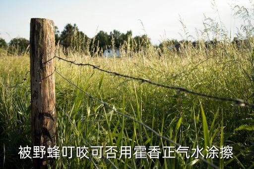 被野蜂叮咬可否用霍香正氣水涂擦