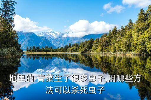 地里的 青菜生了很多蟲子,用哪些方法可以殺死蟲子