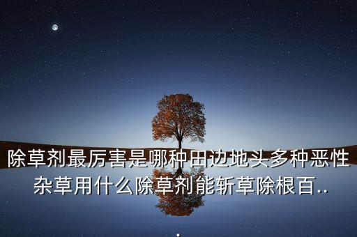 除草劑最厲害是哪種田邊地頭多種惡性 雜草用什么除草劑能斬草除根百...