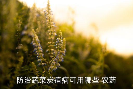 菜有病用什么農(nóng)藥最好,西紅柿有病用什么農(nóng)藥