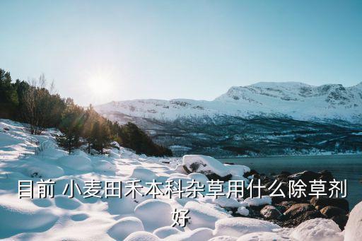 農家小麥用什么農藥,什么農藥能把小麥打死