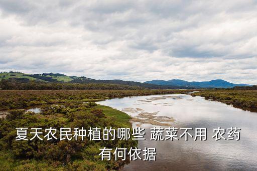 什么蔬菜不打農藥知乎,洗蔬菜用什么洗去農藥