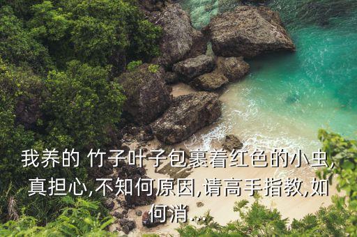 吃竹子蟲(chóng)用什么農(nóng)藥,竹子蟲(chóng)吃了有什么好處