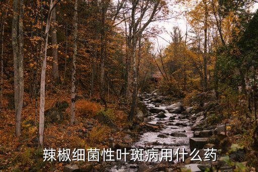 辣椒葉片有斑點打什么農(nóng)藥