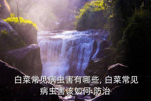  白菜常見(jiàn)病蟲(chóng)害有哪些, 白菜常見(jiàn)病蟲(chóng)害該如何 防治