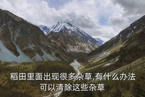 稻田用什么除草農(nóng)藥最好,什么農(nóng)藥除草效果最好