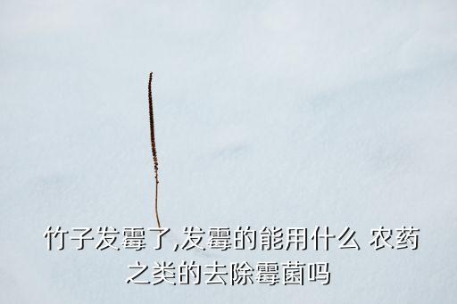 竹子可以打什么農藥呢,殺除竹子用什么農藥