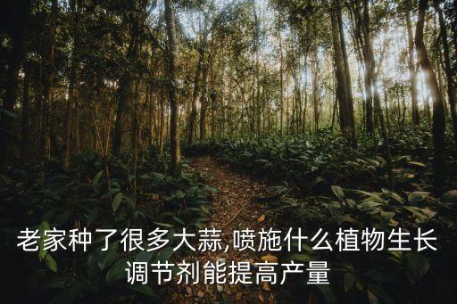 老家種了很多大蒜,噴施什么植物生長調節劑能提高產量