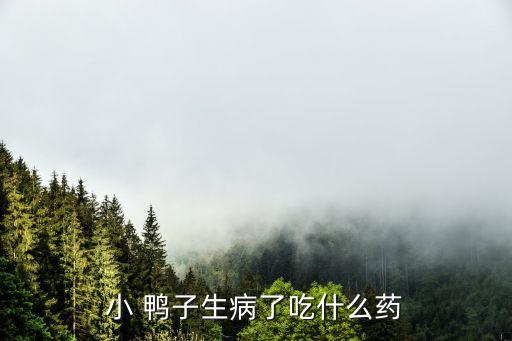 小 鴨子生病了吃什么藥