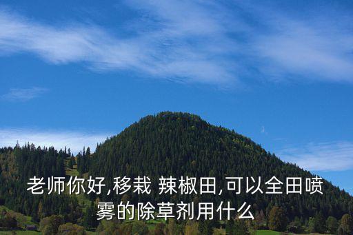 老師你好,移栽 辣椒田,可以全田噴霧的除草劑用什么