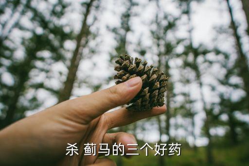 茄子薊馬用什么農藥打,薊馬用什么農藥好
