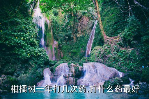  柑橘樹一年打幾次藥,打什么藥最好