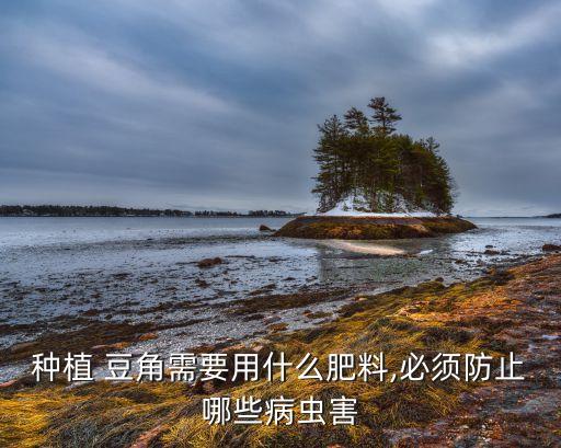 種植 豆角需要用什么肥料,必須防止哪些病蟲害