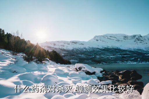 什么藥劑對殺滅 蟑螂效果比較好