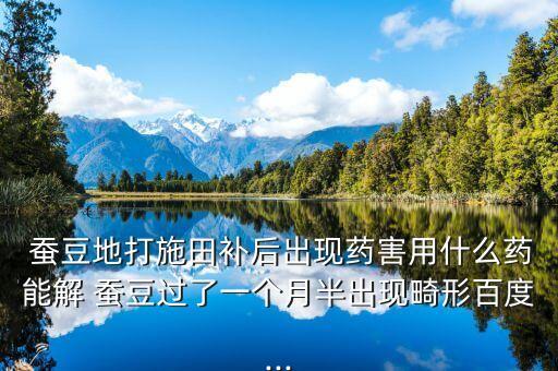  蠶豆地打施田補后出現藥害用什么藥能解 蠶豆過了一個月半出現畸形百度...