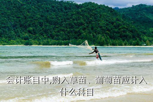 會計賬目中,購入草苗、葡萄苗應(yīng)計入什么科目