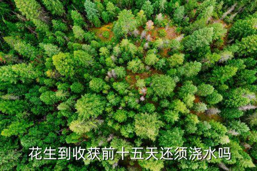花生什么時候噴灑農藥,花生苗期死苗噴灑什么農藥