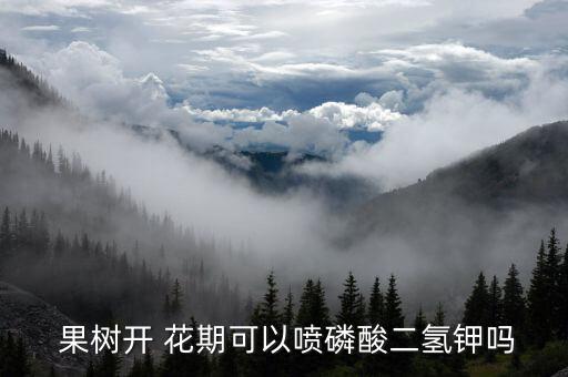  果樹開 花期可以噴磷酸二氫鉀嗎