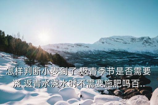 怎樣判斷小麥到了 返青季節(jié)是否需要澆 返青水澆水時不需要施肥嗎百...