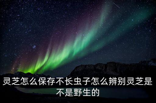 靈芝怎么保存不長蟲子怎么辨別靈芝是不是野生的