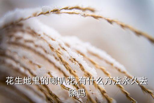 牽牛花什么農(nóng)藥好使,專(zhuān)治牽牛花的農(nóng)藥