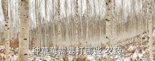 種草莓需要打哪些 農藥