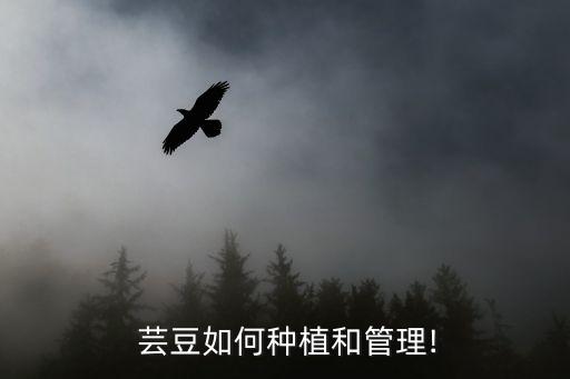  蕓豆如何種植和管理!