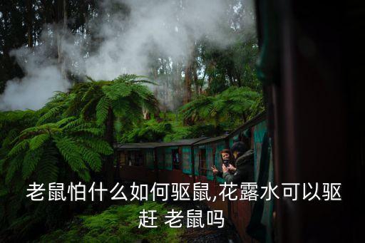 老鼠最怕什么農藥有種,老鼠怕什么農藥氣味