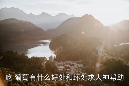 吃 葡萄有什么好處和壞處求大神幫助