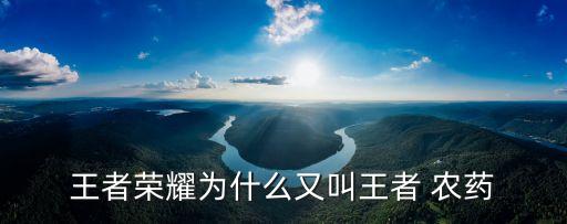 今天不打農藥什么梗