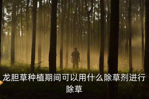 龍膽草種植期間可以用什么除草劑進行除草