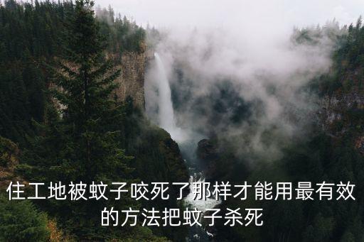 住工地被蚊子咬死了那樣才能用最有效的方法把蚊子殺死