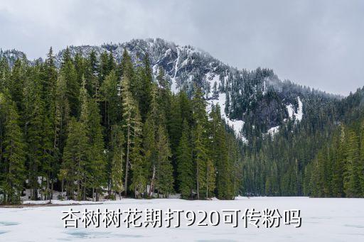 杏樹樹花期打920可傳粉嗎