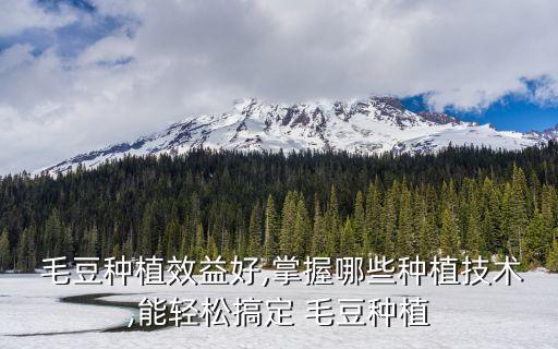  毛豆種植效益好,掌握哪些種植技術,能輕松搞定 毛豆種植
